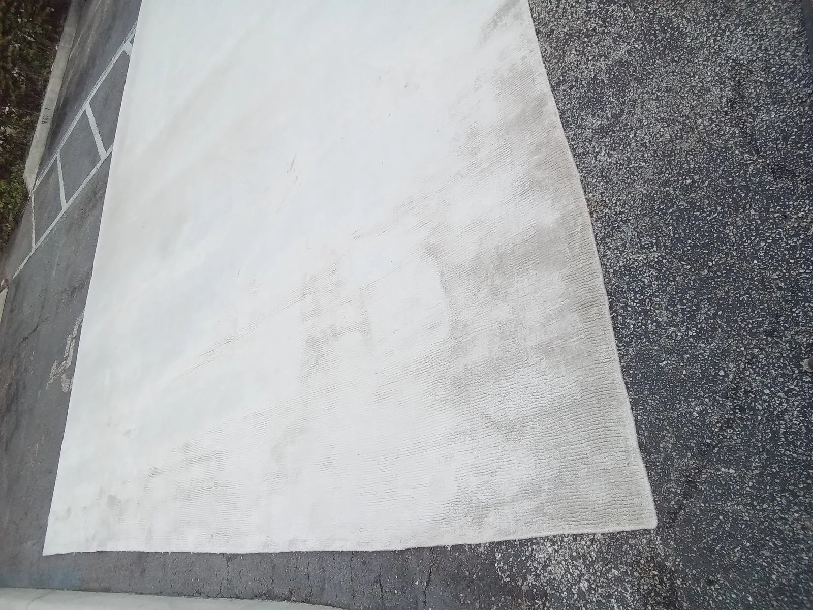 A plain cream rug opened out on the ground in Pinecrest